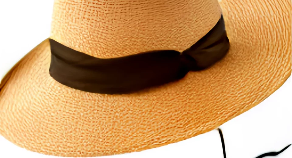 The article explores the importance of wearing hats during summer, the different types of hats available, and tips for choosing the right hat for sun protection, while being SEO-friendly.
