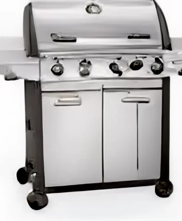 Gas Grills: Comparing Propane and Natural Gas Options