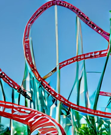Roller Coaster Accessories: Comparing Types, Pros and Cons