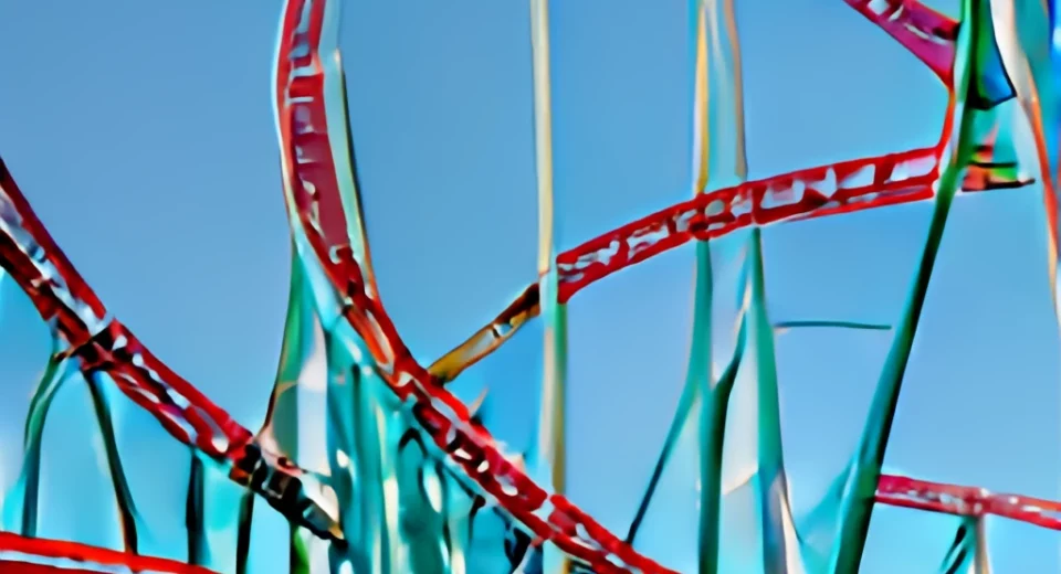 Roller Coaster Accessories: Comparing Types, Pros and Cons