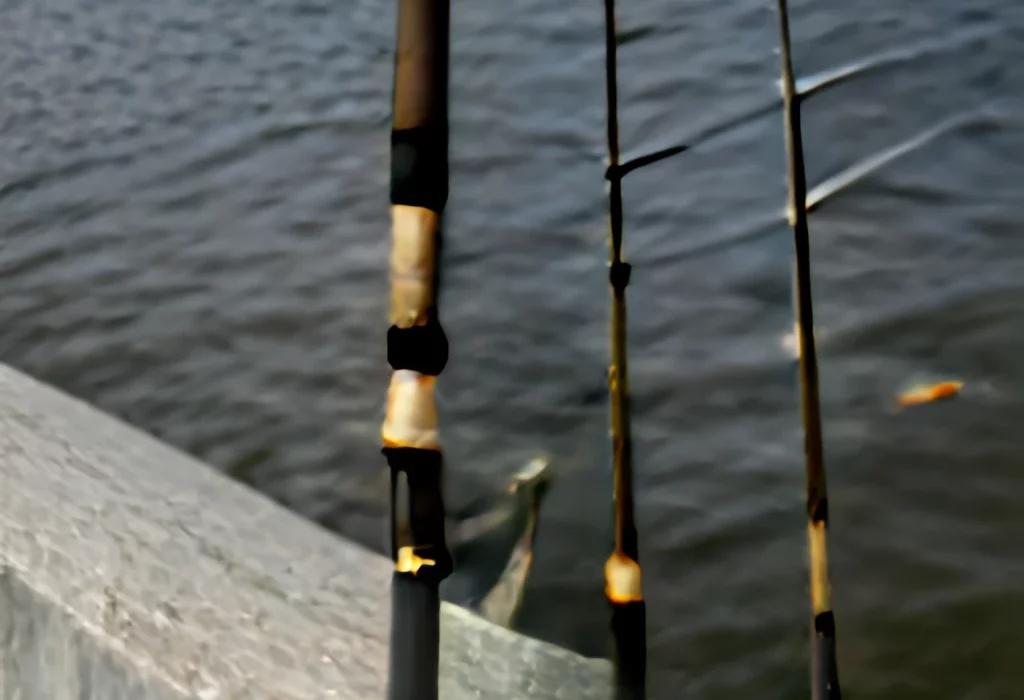Fishing Rods