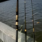 The Ultimate Guide to Fishing Reels: Types, Pros, and Cons