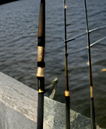 Fishing Rods