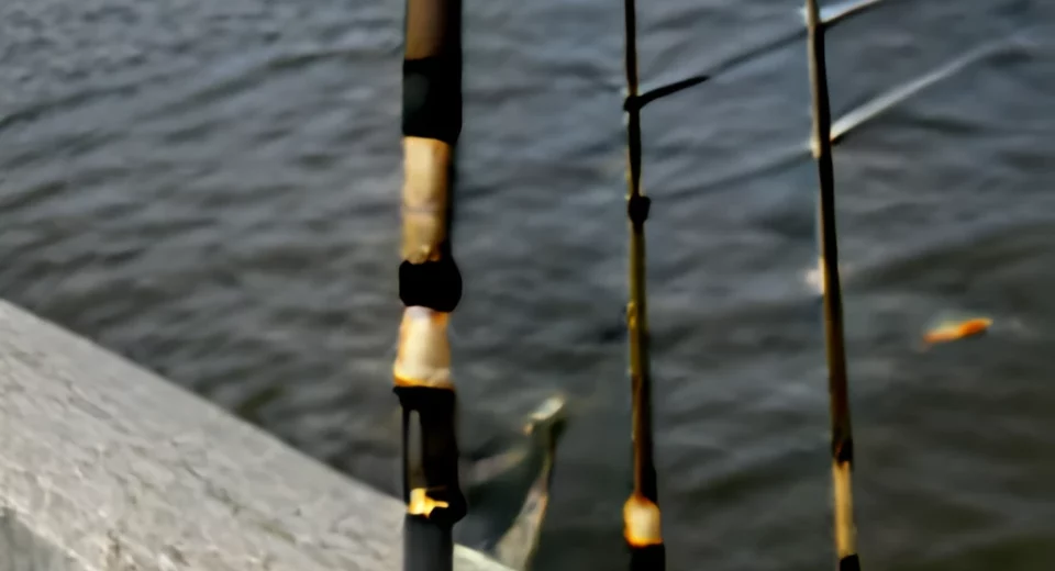 Fishing Rods