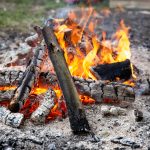 Rosé Wine: A Delightful Journey into Its Varied Blush