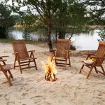 Fireworks: Lighting up the Skies with Sparkling Delights