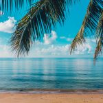 Comparing Types of Scuba Diving: Pros and Cons of Recreational, Wreck, Night, and Technical Diving