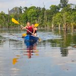 Cricket vs Tennis: A Comprehensive Comparison of Two Iconic Sports