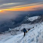 Guest Speakers vs Panel Discussions: Which Engages Your Audience Better?