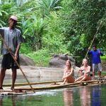 Tata Harper Crème Riche: A Deep Dive into Ingredients and Comparisons with Top Moisturizers