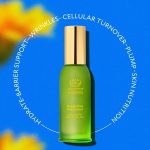 Nature Trails vs Concrete Paths: The Ultimate Outdoor Experience Showdown