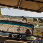 Estee Lauder Perfectionist Pro Rapid Firm + Lift Treatment: A Comprehensive Review and Comparison with Top Alternatives