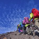 Classic Cars vs Exotic Cars: A Comprehensive Comparison of Timeless Beauty and High-Performance Machines