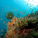 Walking Tours vs Bus Tours: Which Adventure Suits You Best?