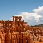 Collecting vs Curating: Understanding the Art of Selection and Presentation