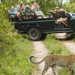 Guided City Tours vs Self-Exploration: Which Adventure Suits You Best?