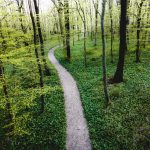 Hard Rock or Arena Rock: A Deep Dive into Two Iconic Genres